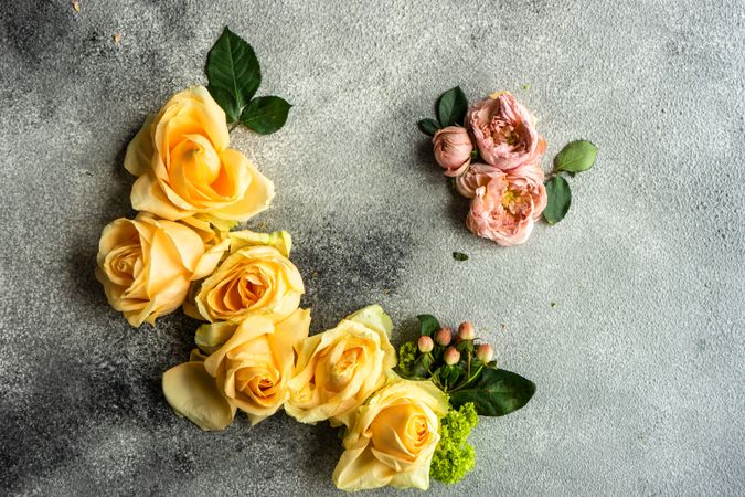 Beautiful floral card concept with fresh yellow and pink roses