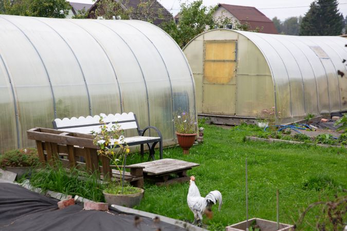 Simple greenhouse for growing food