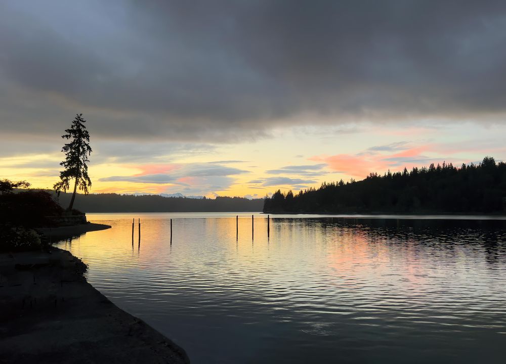 Sunset on puget sound shoreline walk