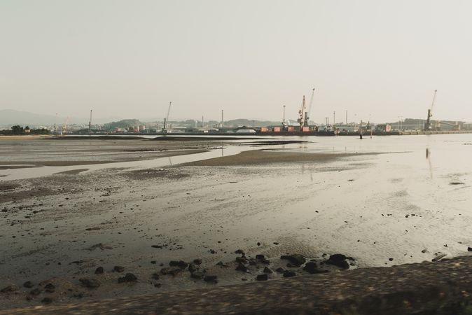 Industrial landscape with sea bay and port cranes