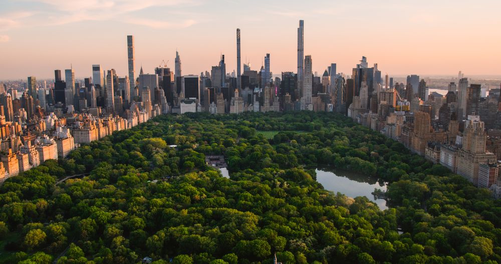 Aerial Helicopter Photo Over Central Park with Nature, Trees, People Having Picnic and Resting on a Field Around Manhattan Skyscrapers Cityscape. Beautiful Evening with Warm Sunset Light