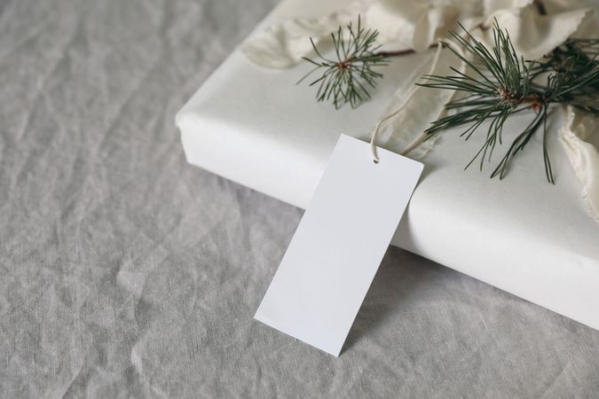 Wrapped gift with blank tag and branch