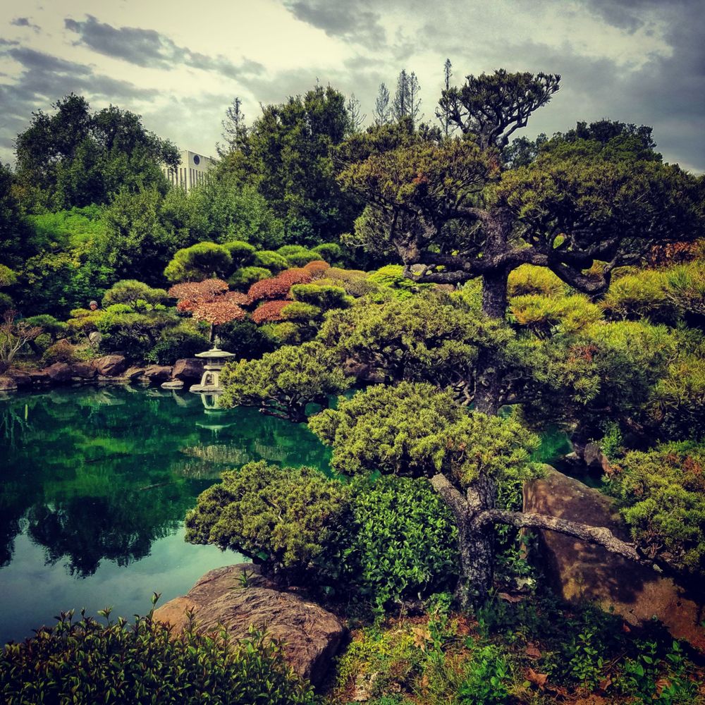 Japanese garden with pond