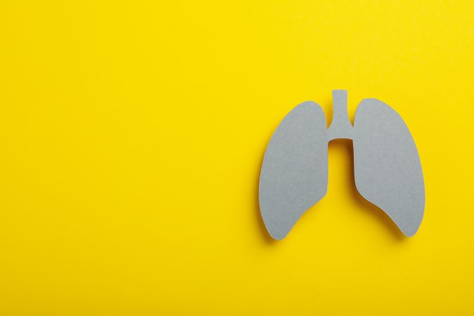 Grey paper lungs on yellow background with copy space
