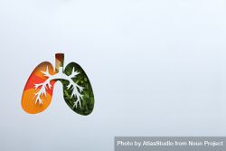 Lung shape in paper with bronchus and green and orange color underneath with copy space 0vJ8Z0