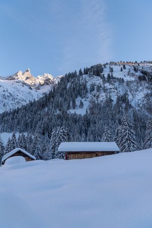 Deep snow scenery in December in the Bavarian Alps, Germany