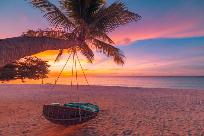 Lounge chair hanging from a palm tree at dusk