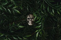 Plastic skull immersed in densely packed leaves