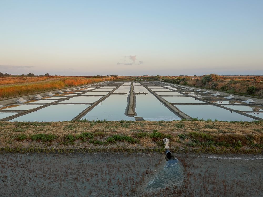 Salt mounds and pans and irrigation system at sunrise