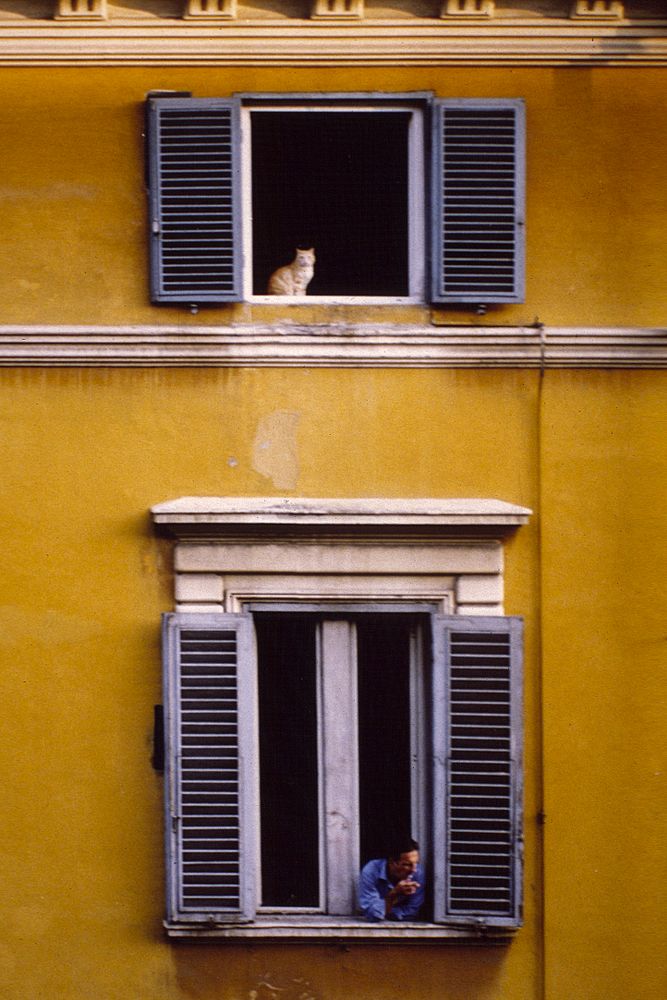 Rome, Italy - Feb 2, 2004 - Man smokes out of window with cat above
