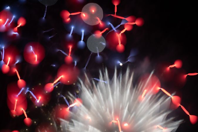 Bright fireworks on night sky