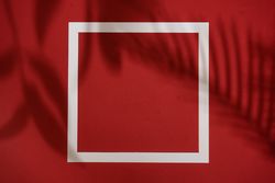 Top view of tropical leaf shadow on red background with paper frame