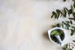 Healthcare concept with eucalyptus