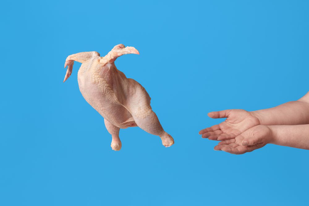 Meat consumerism and veganism concept