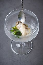 Refreshing martini cocktail with fresh oysters