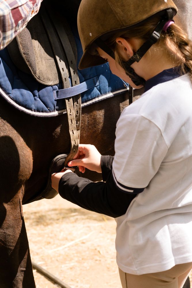 Young rider securing saddle straps on horse.