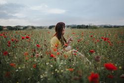 Woman sitting in field with poppies and daisies