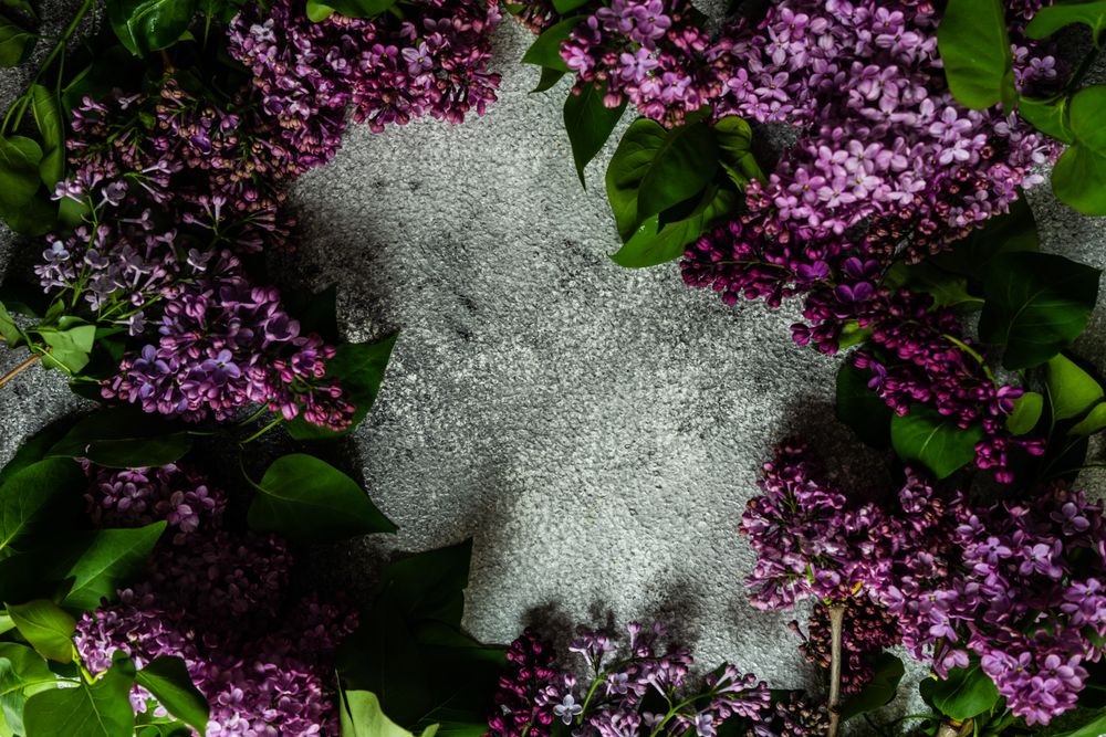 Spring floral card concept with lilacs surrounding grey counter