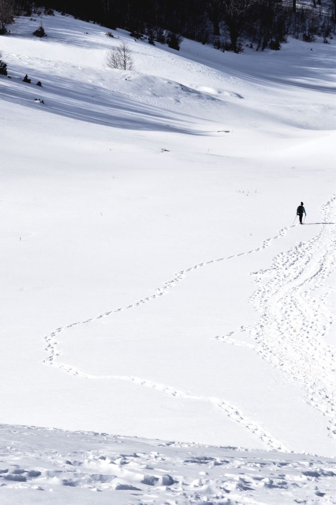 Path in the snow