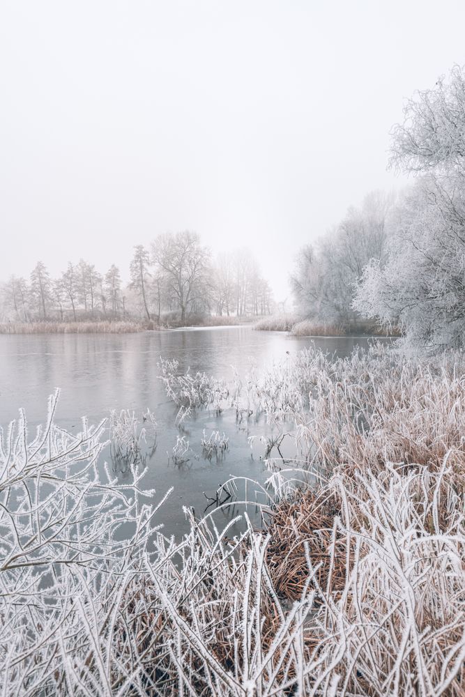 Lake on a wintry day with frozen grass