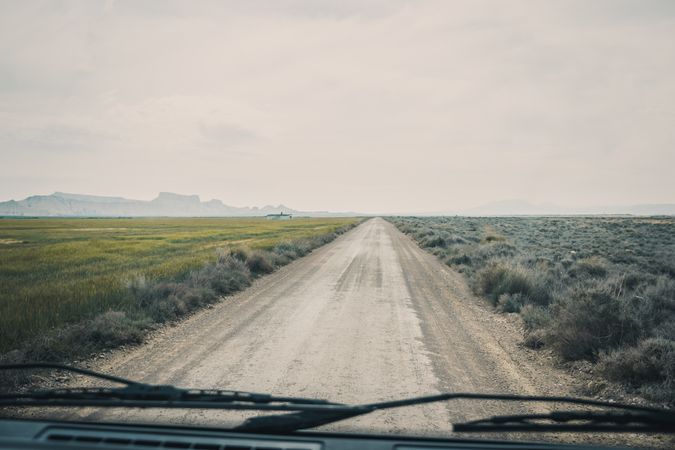 Empty road leading between fields with vegetation