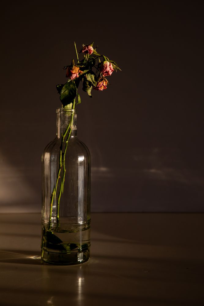 Pretty flowers in glass vase