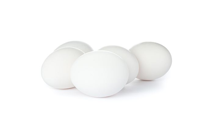 chicken eggs isolated on plain background