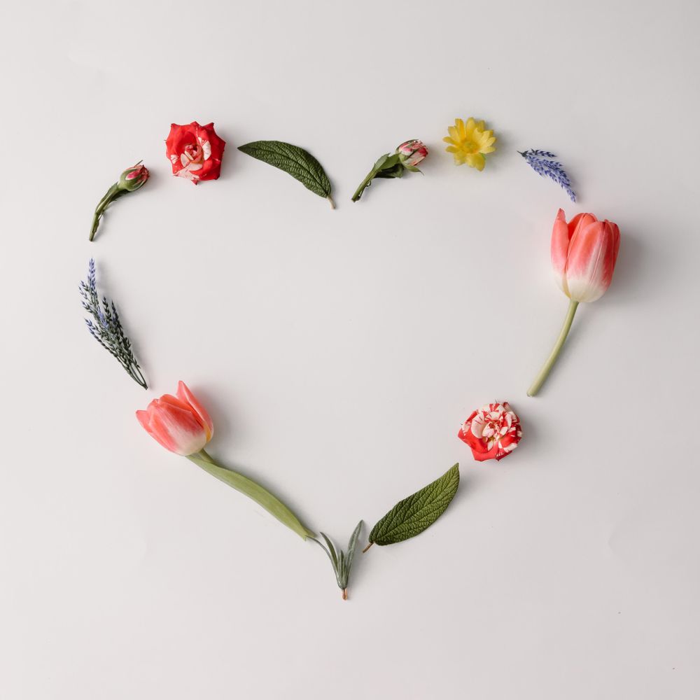 Heart shape spring flowers and leaves
