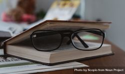 Frame eyeglasses in a slightly open book bxKVn4