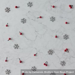 Snowflakes and berry on marble background 5Rd1Db