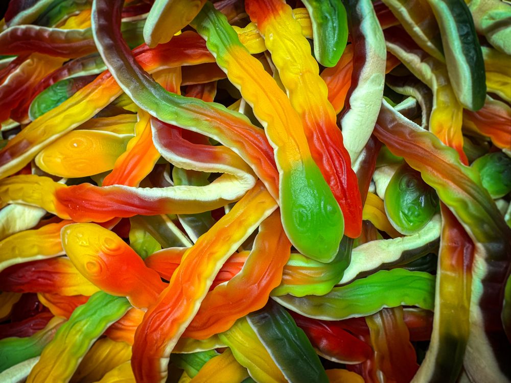 Snake gummy candy