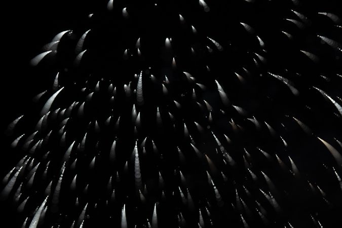 Bright fireworks on night sky