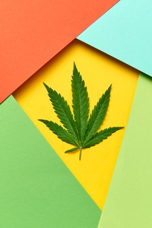 Cannabis leaf surrounded by layered green, red and blue paper