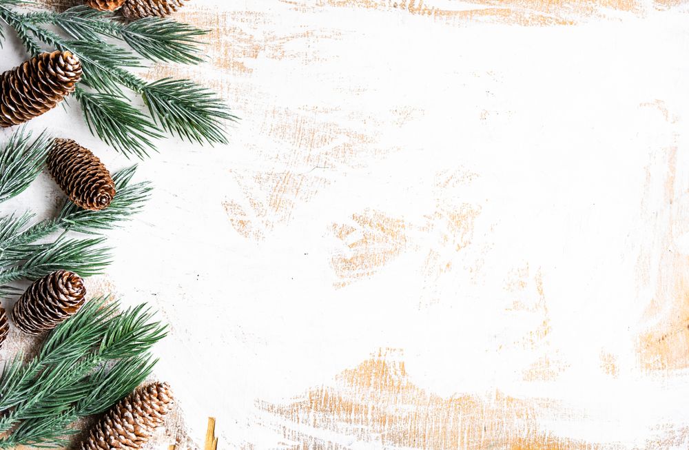 Christmas card concept of branch and pine cones on rustic table