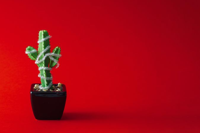 Cactus in pot with Christmas garland decoration