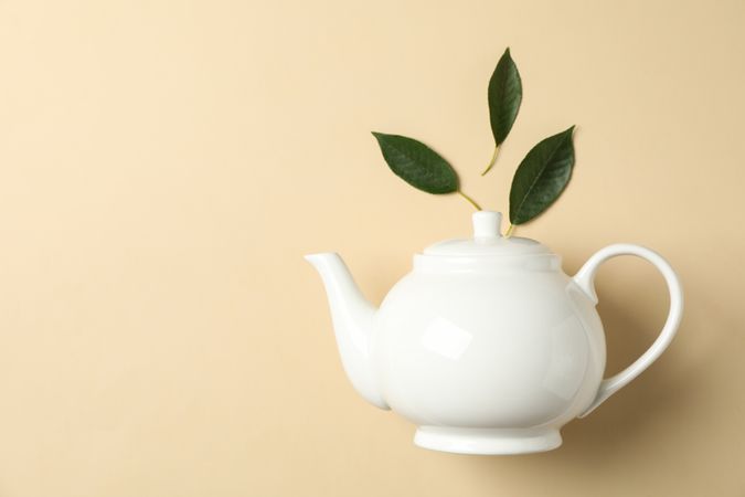 teapot and leaves on color background, space for text