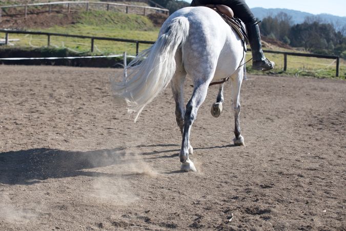 Horse kicking up sand on ground