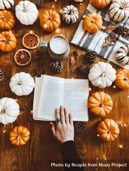 Woman holding book page between orange slices and pumpkins 5X8a75