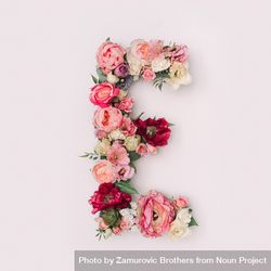 Letter E made of real natural flowers and leaves 5o6Mk0
