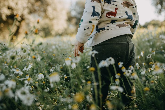 Young boy standing among daisies