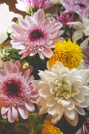 Multi-colored summer bouquet of chrysanthemums and gerberas.