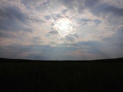 Silhouette of rice field view with sky background