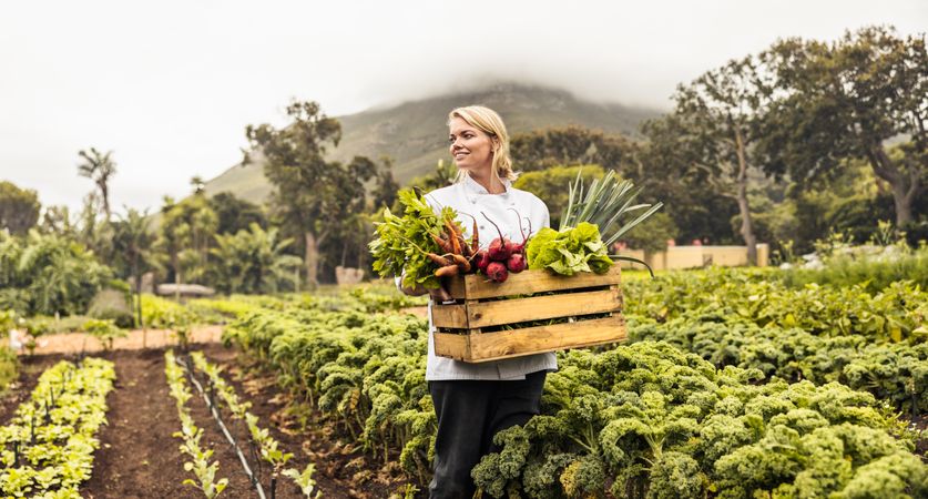 Happy young chef walking in a farm holding a crate of freshly picked vegetables