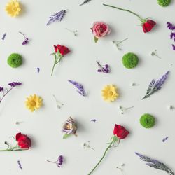Pattern made of various flowers and leaves