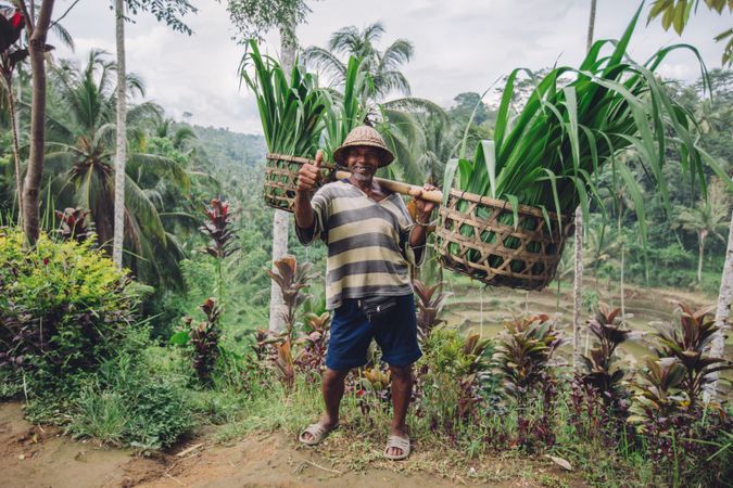 Full length shot of older farmer carrying a yoke on his shoulders with cut grasses