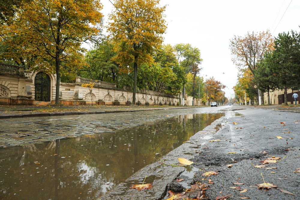 Rainy, autumn, city park in the morning