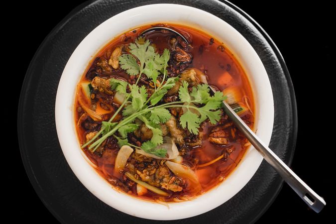 Prepared appetizing frog soup on plate