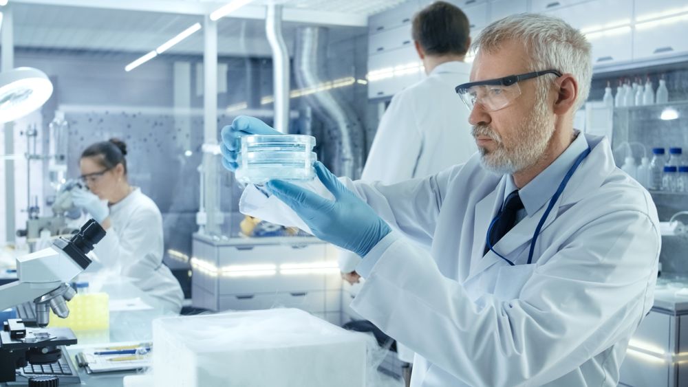 Medical Research Scientist Takes Out Petri Dish with Samples from Opened Refrigerator Box.