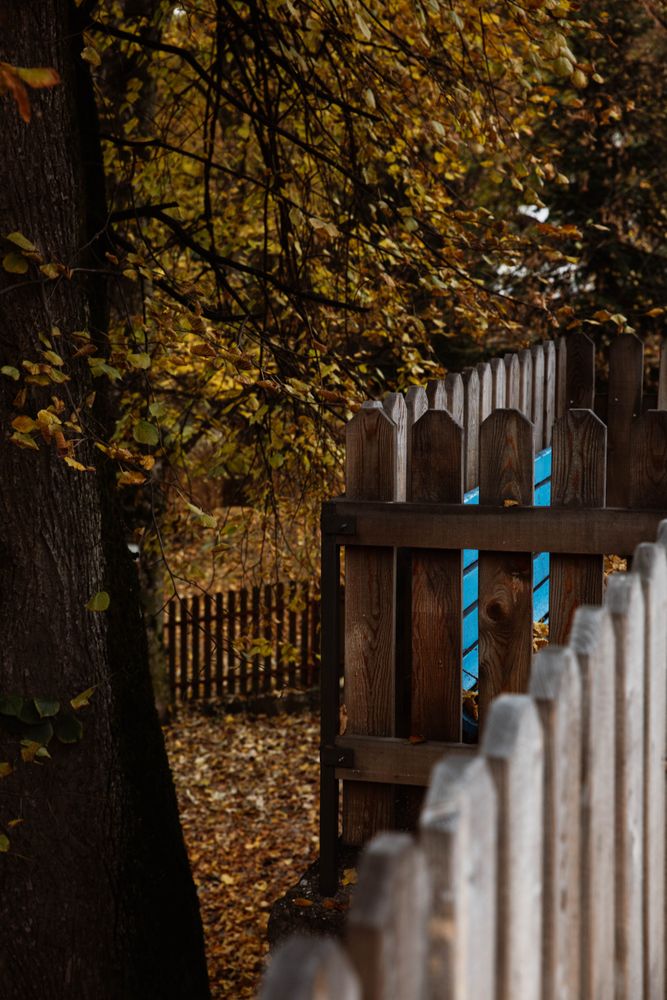 Blue wooden seat and fence with autumn leafage