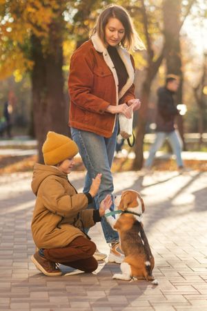 Family walks the dog